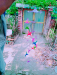 Pakhi